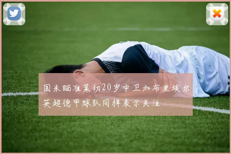 国米瞄准莱切20岁中卫加布里埃尔英超德甲球队同样表示关注